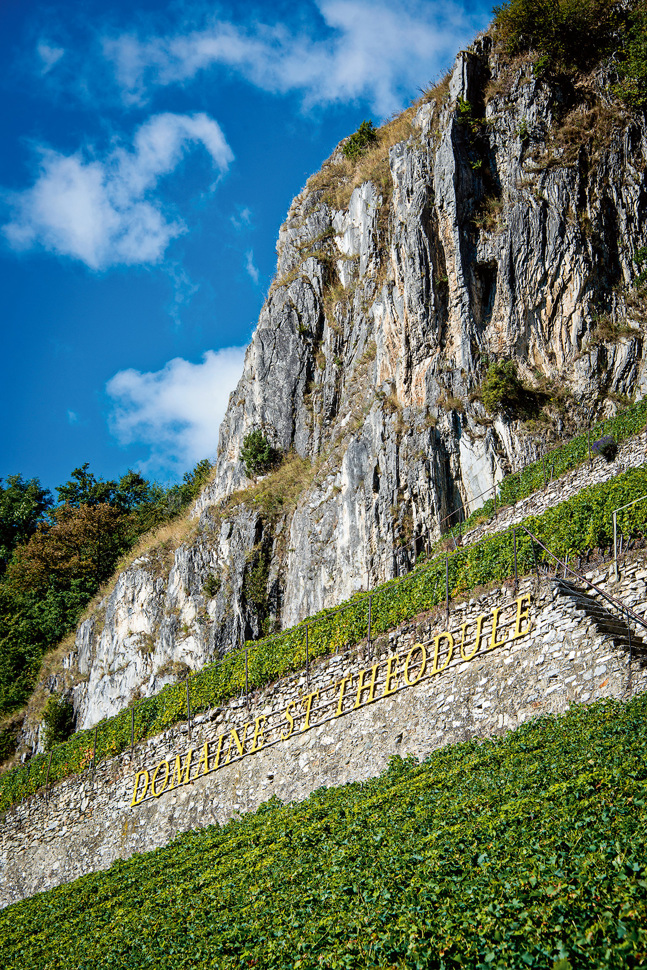 besse2.jpg besse2.jpg