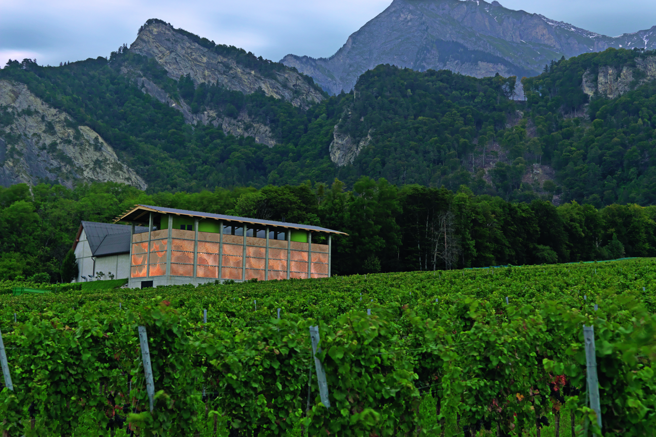 gantenbein_a022.jpg gantenbein_a022.jpg