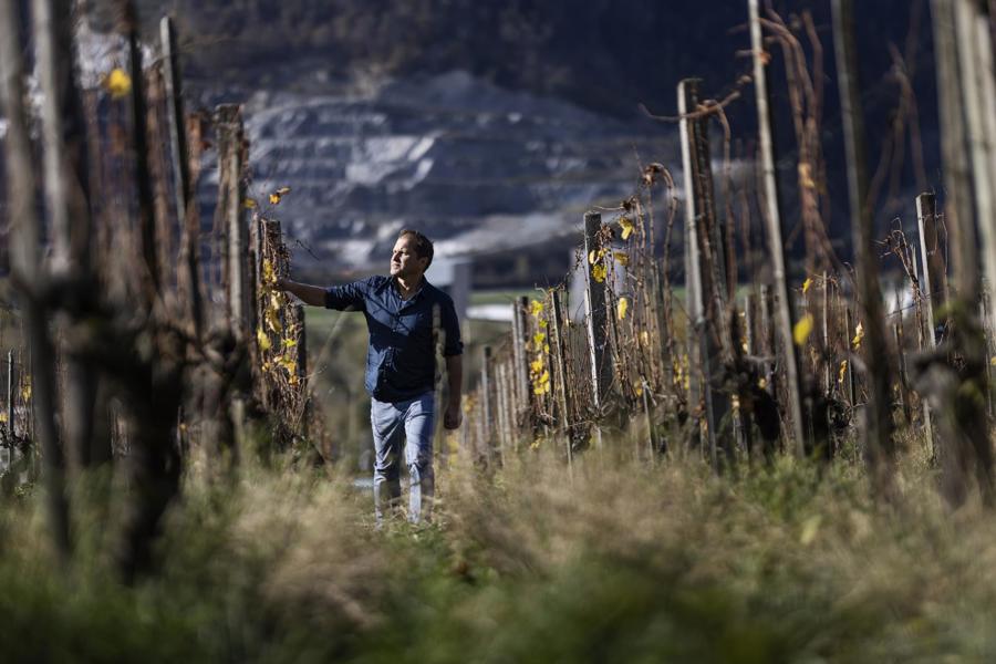 Der Mensch ist das Terroir