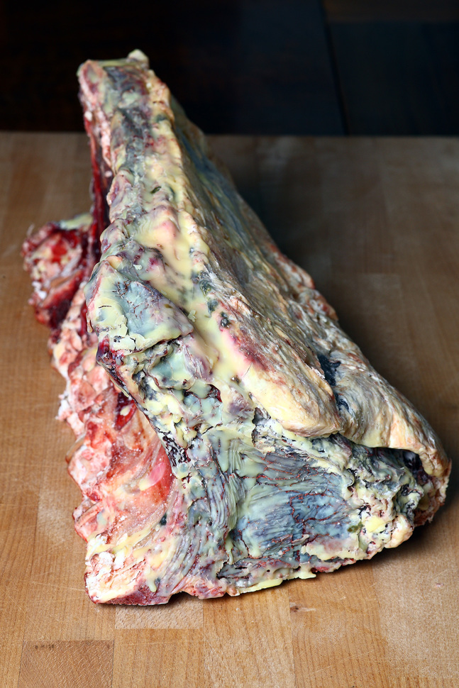 mstu0047.jpg mstu0047.jpg