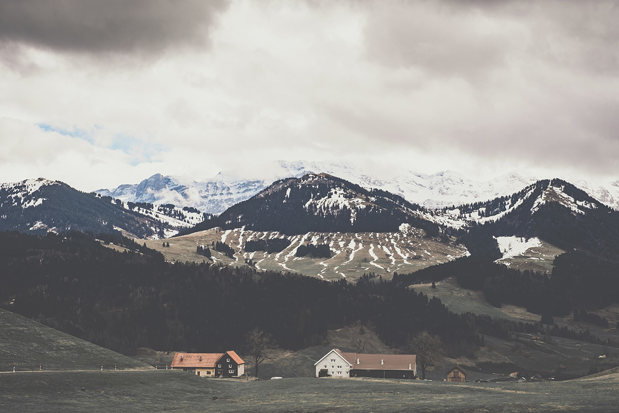 20180316-cigar-appenzell_22.jpg