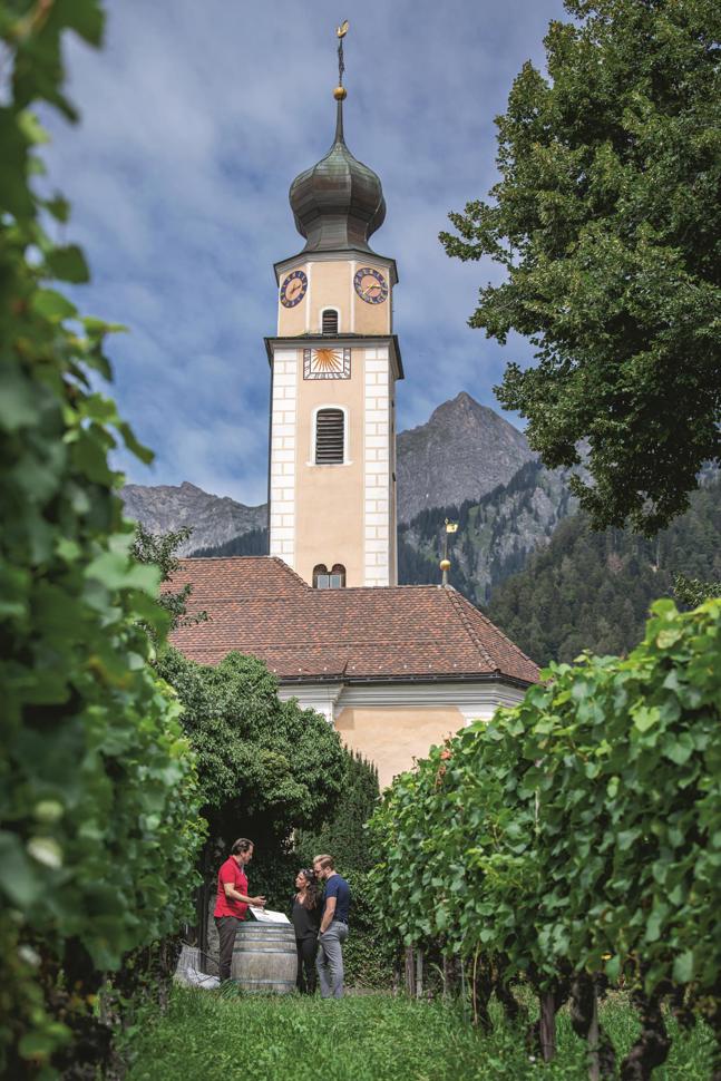 weintour_ammann_20200826-18.jpg weintour_ammann_20200826-18.jpg